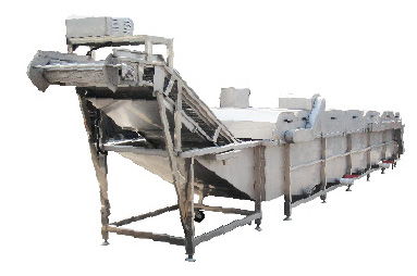 南平丰创食品机械厂 鱼类清洗设备质量放心可靠，引领洗涤用品新标准